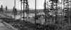 Fr�n terr�ngen vid Heden har man denna utblick mot v�ster mot Mord�n och den torrlagda �lvf�ran skymtande mellan tr�den.