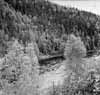 Nu �r vi uppe i den branta �lvterr�ngen. Bilden �r tagen ca 200 m s�der om det blivande damml�get.