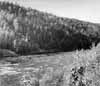 N�rmast damml�get blir �lvsidorna mycket branta. Vi f�ngar h�r ett motiv fr�n �stra stranden i riktning mot nordv�st.