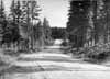 Nu �r vi inne i den terr�ng, som kommer att dr�nkas. Allm�n v�g mot L�ngflon med Var�bron i bakgrunden f�rsvinner. D�mningsgr�nsen ligger h�gt �ver tr�dtopparna vid bron.