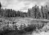 Parti av Var�n ca 100 m ovanf�r bron i riktning mot nordv�st.