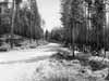 Efter Var�bron forts�tter allm�nna v�gen f�rst �t �ster ut mot Klar�lven och sedan �t norr mot L�ngflon och norska gr�nsen. Vattenytan i den nya sj�n kommer att ligga betydligt h�gre �n tr�dtopparna.
