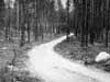 Fr�n allm�nna v�gen leder en liten avtagsv�g ner till Var�n�set.