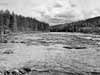 V�nder vi oss mot norr f�r vi denna utblick �ver �lvlandskapet.