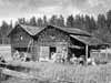P� Arntsg�rden finns �nnu vackra h�rbren, v�l bibeh�llna.
