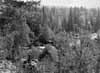 Utblick �sterut fr�n gr�nsen med en gr�nssten till v�nster. I f�rgrunden ser man v�stra �lvgrenen och mellan tr�den till h�ger skymtar huvudf�ran.